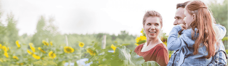 family in sunflowers